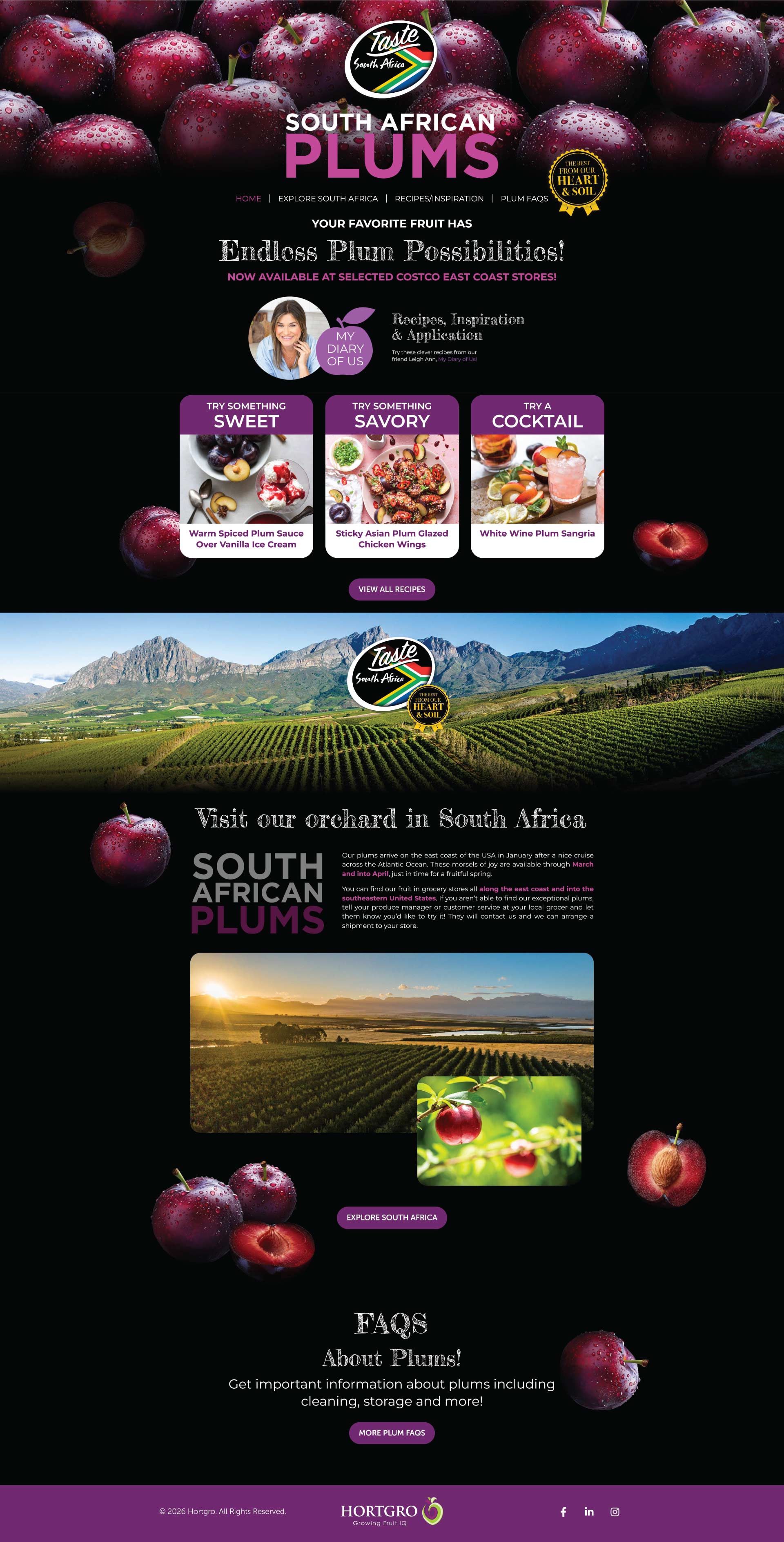 Plum-Possibilities-Full-Screenshot Plum Possibilities Website